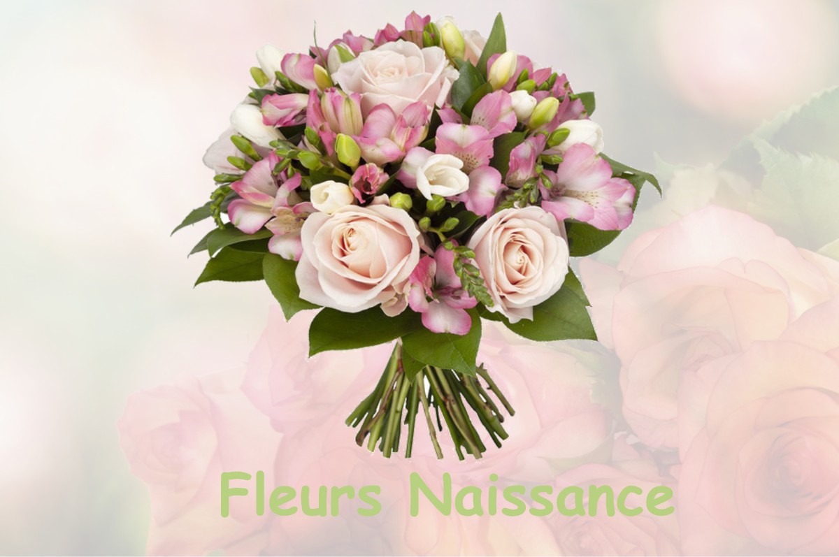 fleurs naissance COUBLEVIE