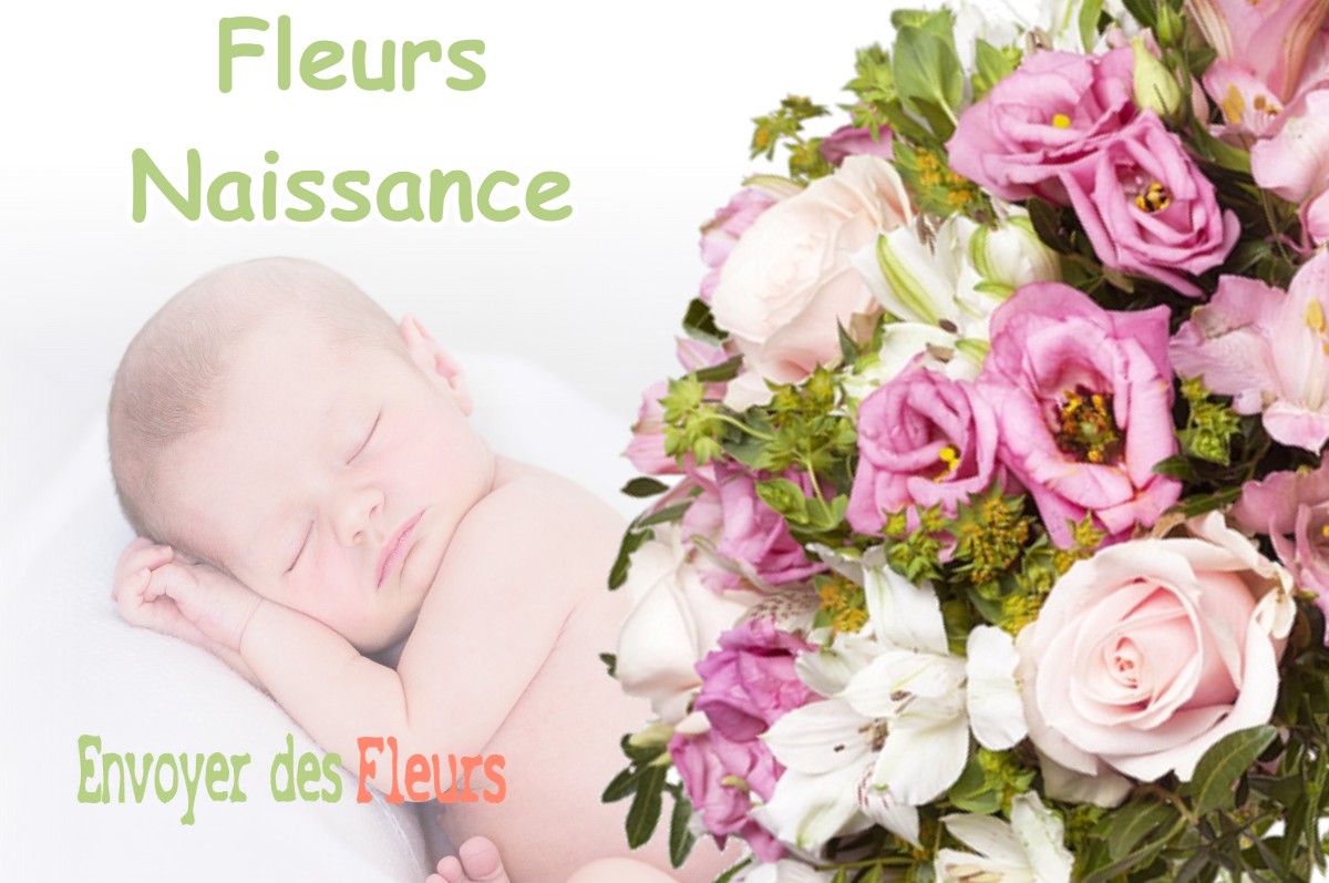 lIVRAISON FLEURS NAISSANCE à COUBLEVIE